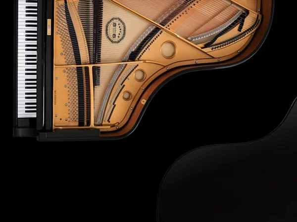 پیانو پرزینا از دیدگاه متخصصان در پیانو بایر (PIANO BUYER)