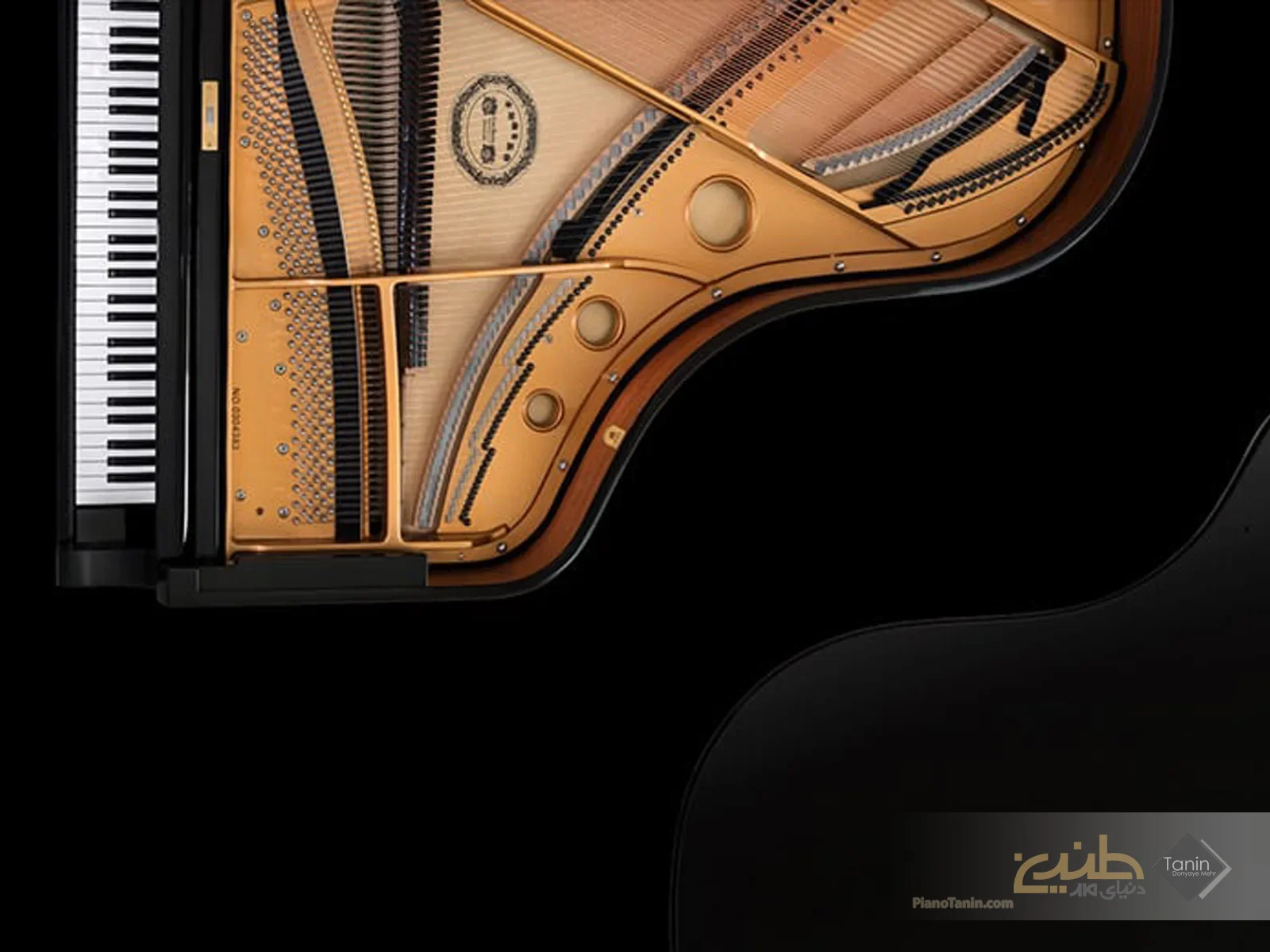 پیانو پرزینا از دیدگاه متخصصان در پیانو بایر (PIANO BUYER)