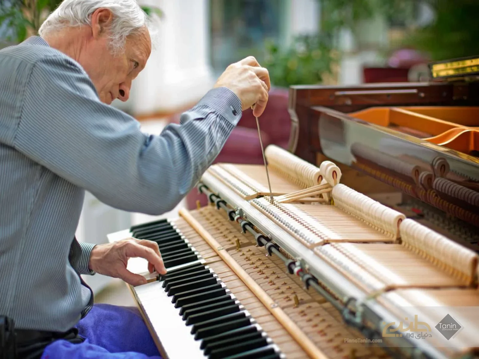 تعمیر پیانو