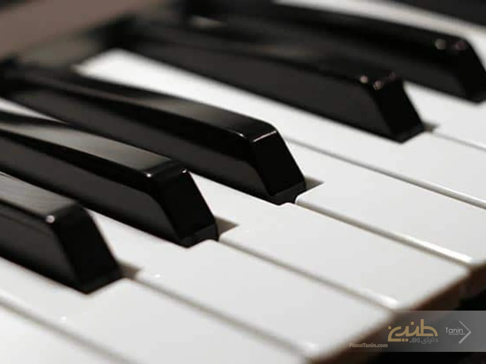 چرا کلیدهای پیانو سیاه و سفید هستند؟