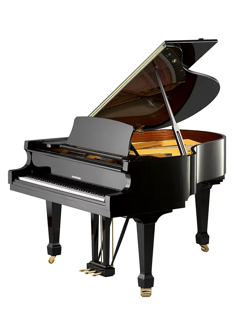 پیانو گرند دبلیو هافمن Traditional T 161