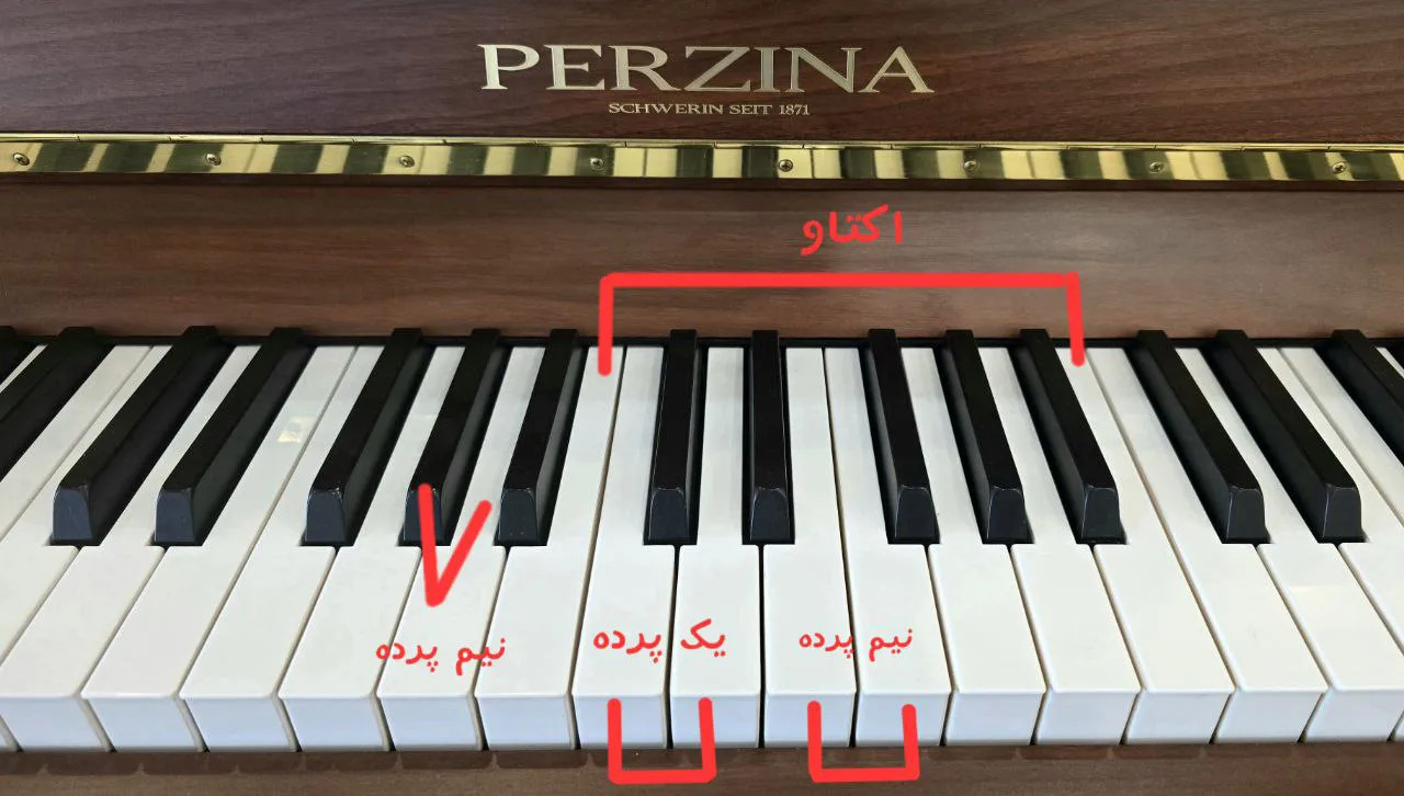 اکتاو و پرده در پیانو پرزینا