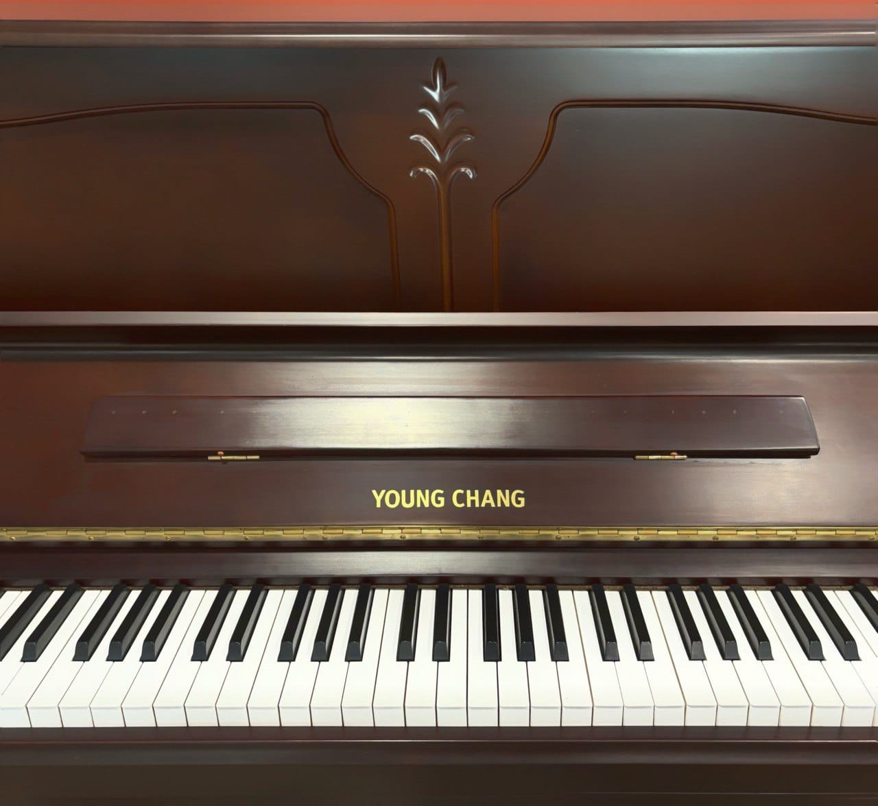 پیانو آکوستیک کارکرده یانگ چانگ YOUNG CHANG ارتفاع 121
