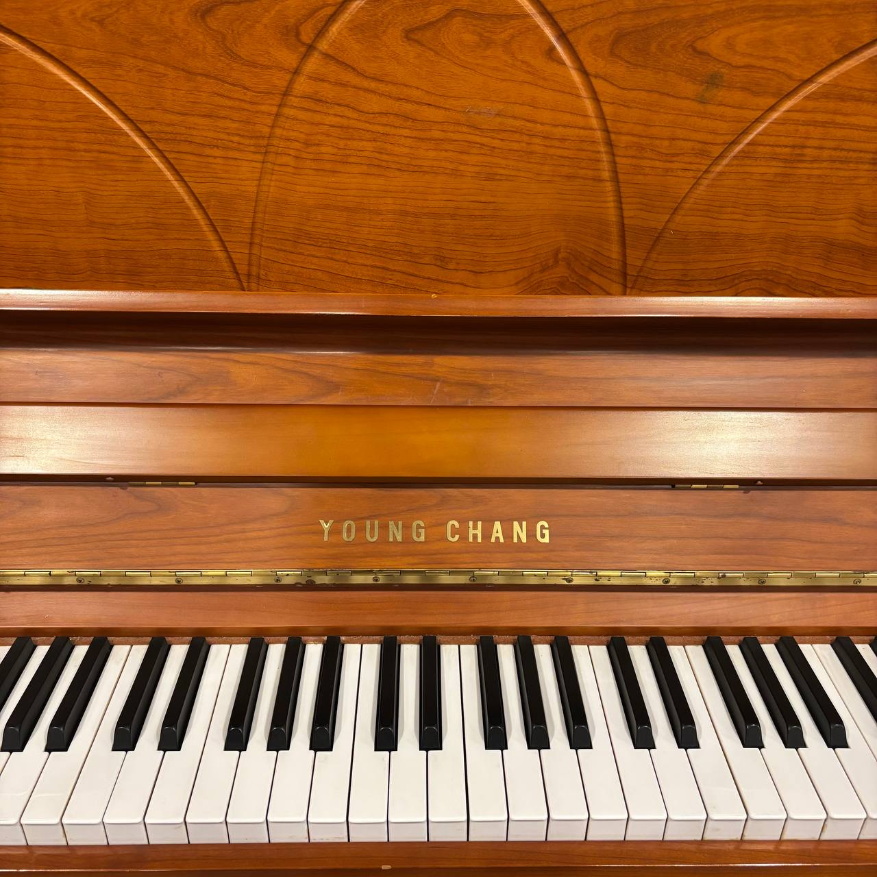 پیانو آکوستیک کارکرده یانگ چانگ YOUNG CHANG ارتفاع 121