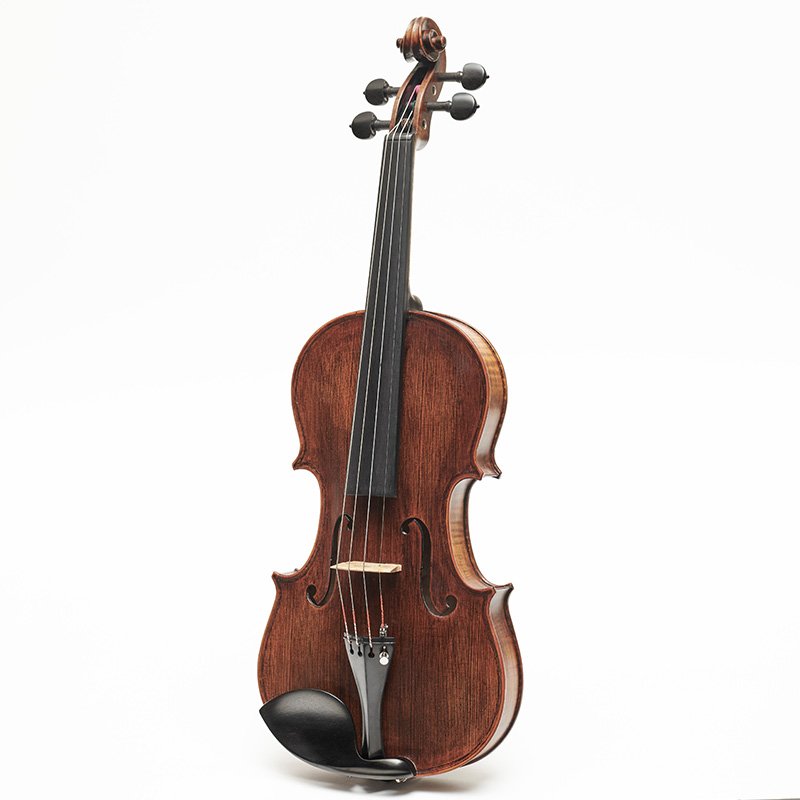 ویولا سری Arcadia مدل 1879Q
