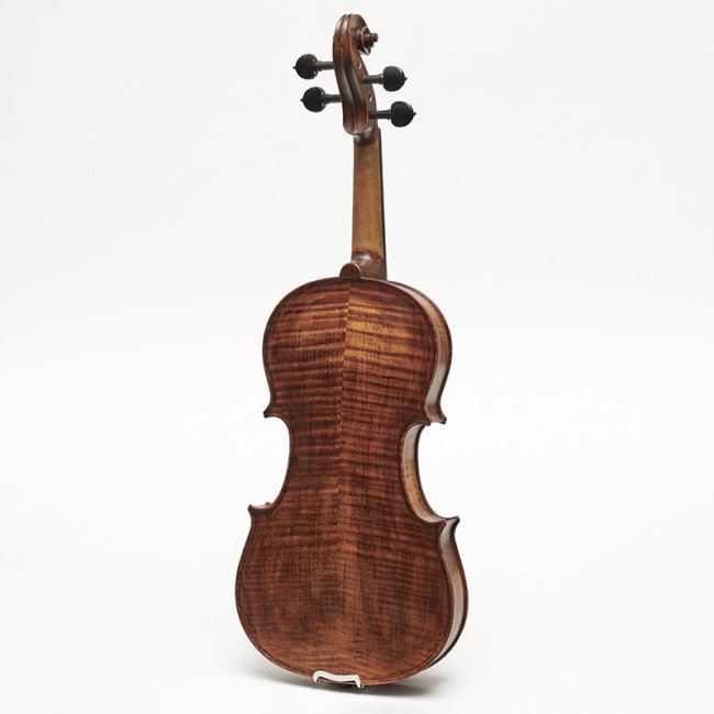 ویولا سری Arcadia مدل 1879Q